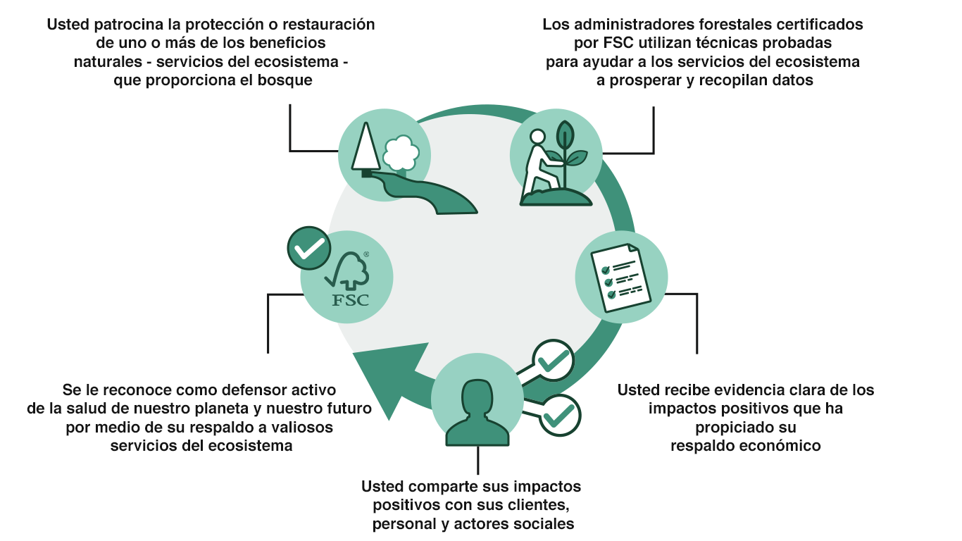 Infografía